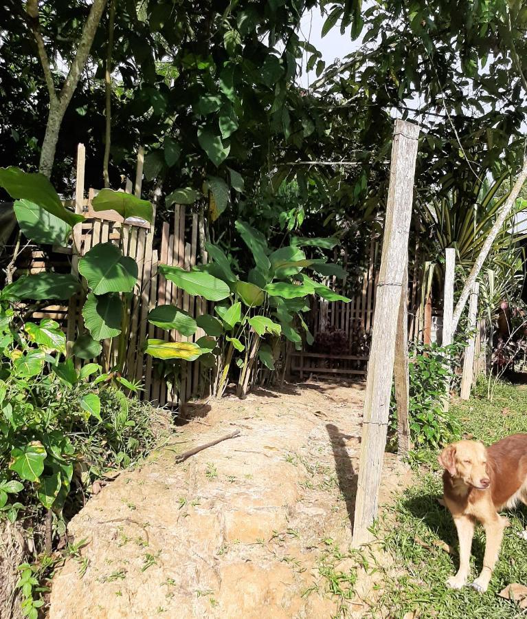 Xingu Camping Site Leticia Exterior foto
