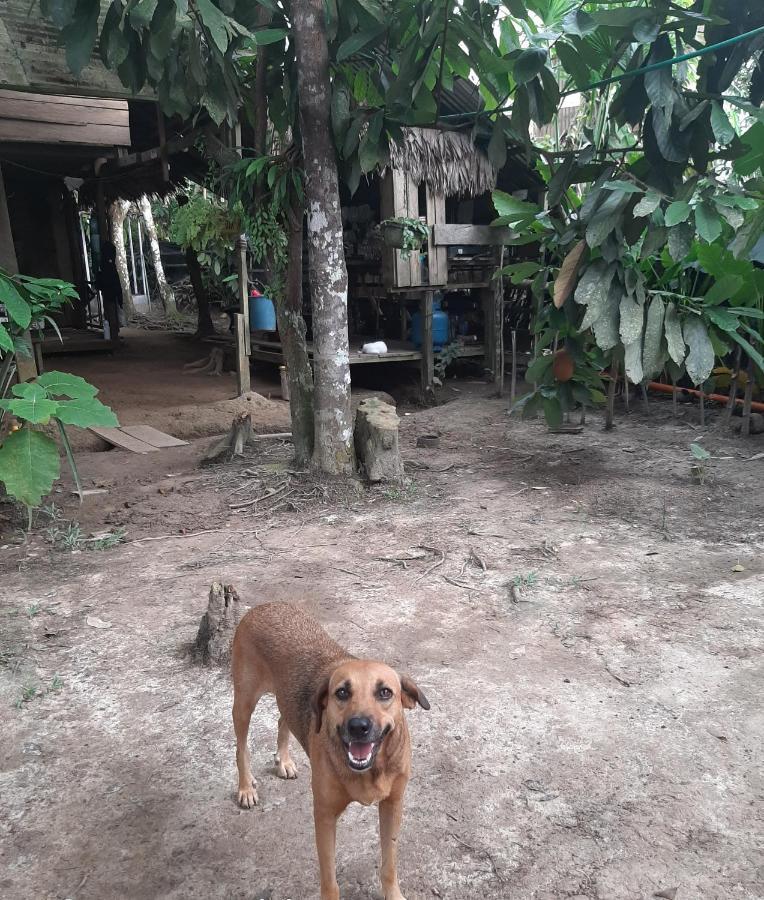 Xingu Camping Site Leticia Exterior foto
