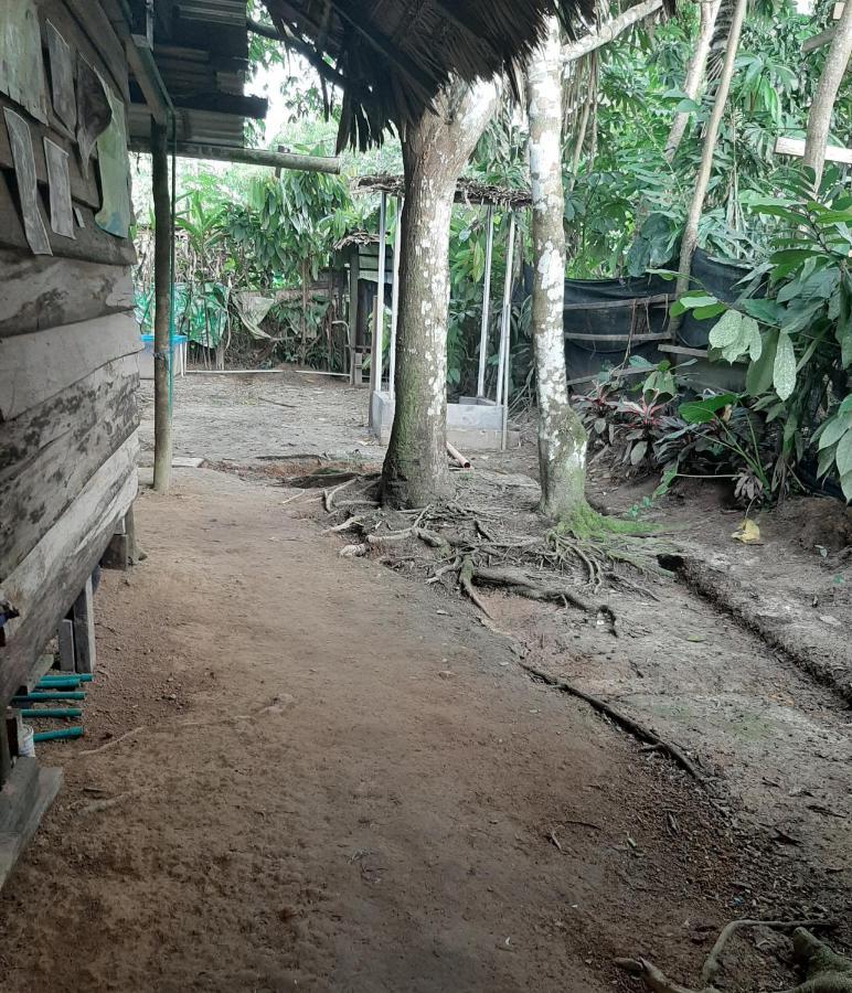 Xingu Camping Site Leticia Exterior foto